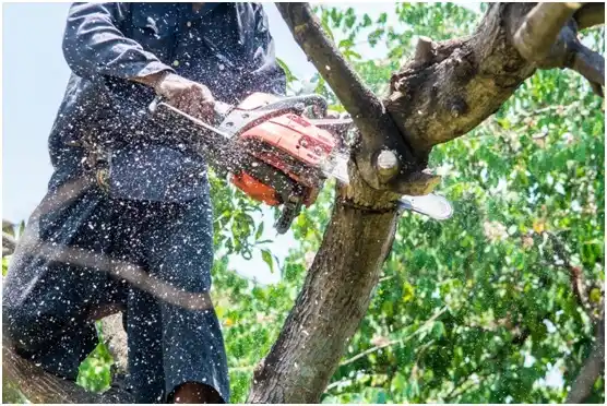 tree services Baileyton